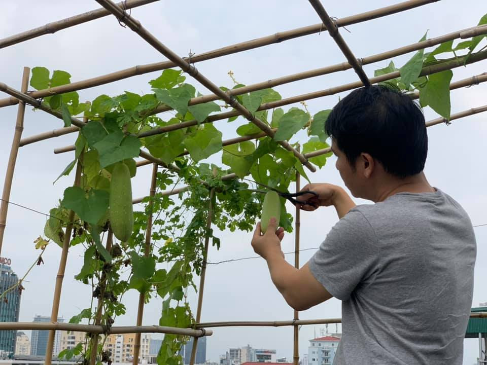 Ngoài ra, nam ca sĩ cũng trồng nhiều một số loại rau, quả. Ảnh: Vietnamnet