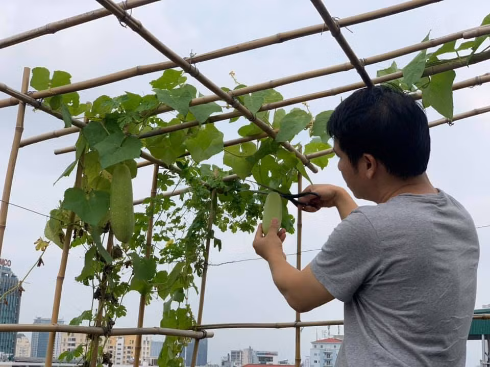 Ngoài ra, nam ca sĩ cũng trồng nhiều một số loại rau, quả. Ảnh: Vietnamnet