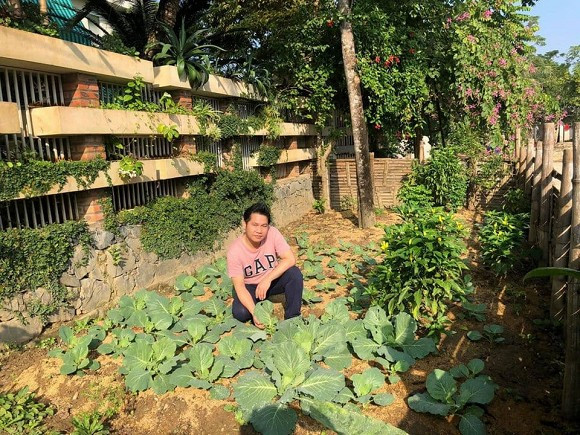 Vườn rau xanh mướt. Ảnh: Công lý &amp; xã hội.