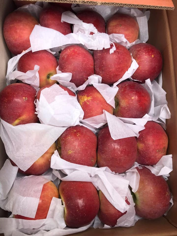 Chị Duyên thông tin thêm, mỗi ngày người bán nhỏ như chị cũng bán được 20 - 30kg. Còn những đầu mối buôn lớn thì con số có thể gấp rất nhiều lần.