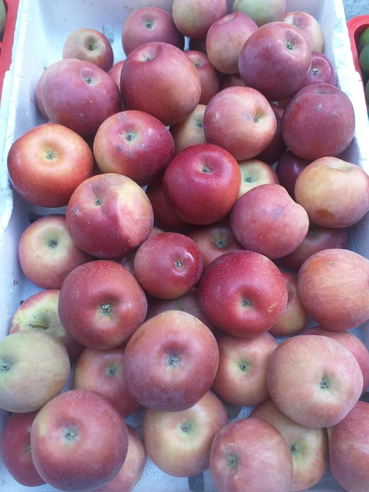 Chị Lệ (Nam Từ Liêm, Hà Nội) tiết lộ, vừa đặt mua 1 thùng táo đá với giá 70.000 đông. Chị Lệ biết rõ đây là hàng Trung Quốc nhưng vẫn mua.