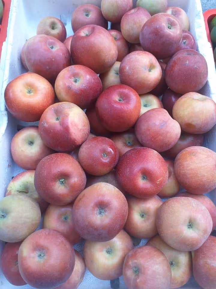 Chị Lệ (Nam Từ Liêm, Hà Nội) tiết lộ, vừa đặt mua 1 thùng táo đá với giá 70.000 đông. Chị Lệ biết rõ đây là hàng Trung Quốc nhưng vẫn mua.