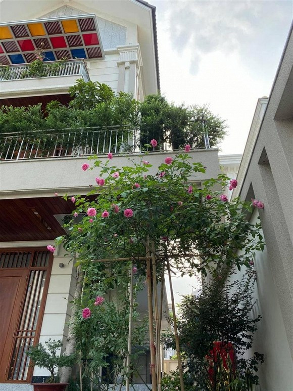 Nhiều người bày tỏ sự ngạc nhiên, ngưỡng mộ trước không gian sống trong lành, mát mẻ của cặp đôi.