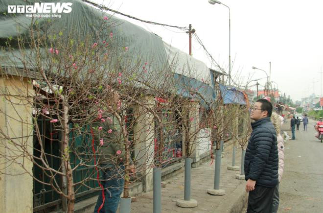 Một tiểu thương bán đào tại chợ Quảng An cho biết "Nắm bắt được nhu cầu chơi đào sớm của khách hàng, tôi dặn các chủ vườn tuốt lá cho ra hoa sớm để bán. Năm nào vào dịp này tôi cũng bán đào, vì người Hà Nội rất thích hoa đào. Họ quan niệm rằng có một cành đào bày trong nhà làm ăn rất vượng, linh thiêng và làm ăn tài lộc, vạn sự như ý".