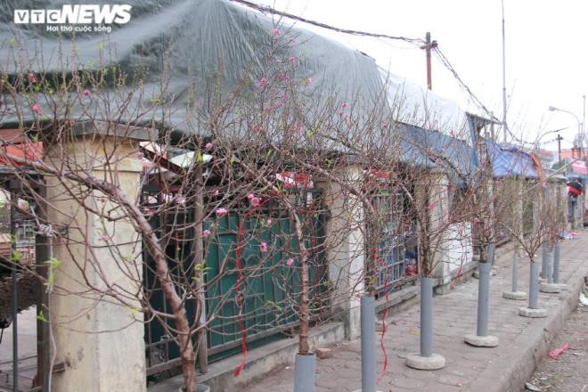 Những nhành đào này giá đắt hơn vì thế đẹp, nụ nhiều, giá tầm 1.300.000 đồng.
