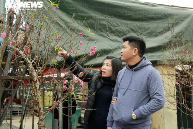 Anh Thu quê ở Hải Phòng chia sẻ: "Năm nào vào dịp này gia đình tôi cũng đều đánh xe xuống Hà Nội mua đào. Chơi đào sớm có cái hay và thú vị riêng. Cánh hoa tuy không to, đều như chính vụ những vẫn giữ nguyên được vẻ đẹp truyền thống vốn có".