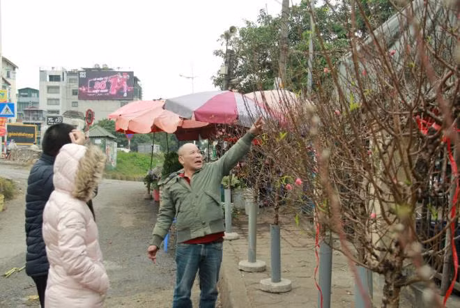 Tùy thuộc vào kích thước, những cành đào có giá bán khác nhau. Bình quân, cành nhỏ thường có giá từ 80.000 - 250.000 đồng. Những cành to hoặc được uốn, tạo dáng có giá từ 500.000 ngàn đồng - 1 triệu đồng.