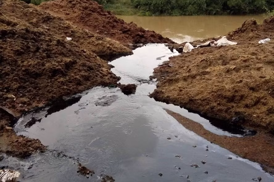 Mia duong La Nga va loat DN nganh mia xa thai 