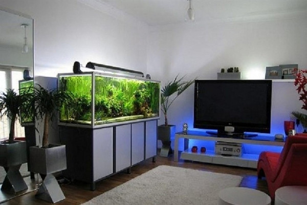 Đài phun nước mini và bể cá cũng vật dụng mang ý nghĩa thu hút năng lượng giàu có đến ngôi nhà.