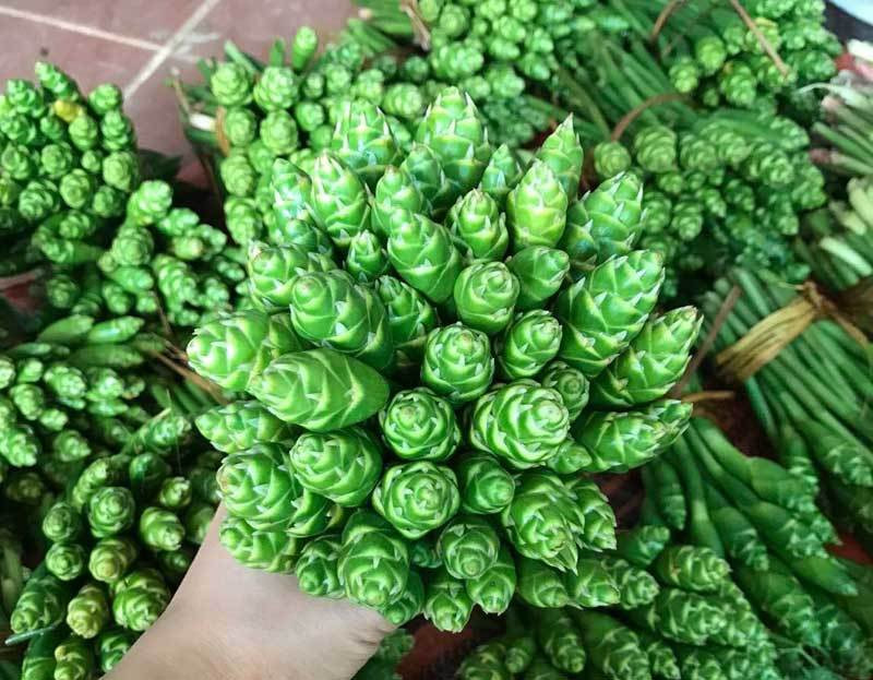 Vài năm gần đây, hoa gừng - loại hoa đặc sản miền núi xuất hiện nhiều hơn ở Hà Nội. Thời điểm này đang rộ mùa nên hoa gùng bán tràn ngập “chợ mạng”, giá dao động từ 40.000-60.000 đồng/kg. Ảnh: Vietnamnet.