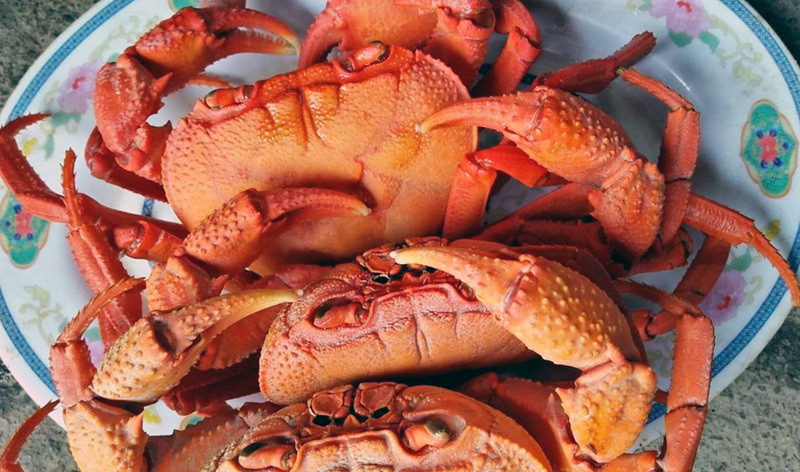 Cua đá Hà Giang cũng là đặc sản vùng núi được khách hàng ưa thích. Loại cua đá này có hình dáng bên ngoài giống hệt cua đồng, song kích cỡ lớn hơn nhiều. Ảnh: Vietnamnet.