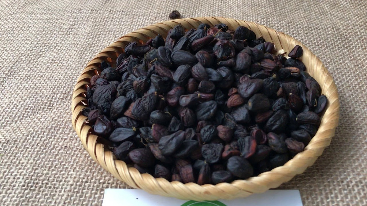 Dù đắt song các quán phở gà, đầu mối sỉ và khách lẻ vẫn chuộng vì hạt dổi có mùi đặc biệt, khá giống mùi xá xị, hợp để ướp thực phẩm, nhất là các món nướng. Ảnh: NongsanDungha.