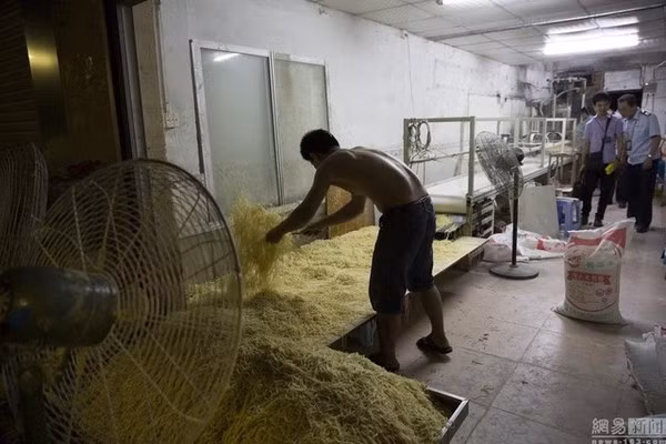 Bên trong nhà xưởng chưa đầy 20m2 chỉ có một bóng đèn sáng, một chiếc máy làm mỳ chiếm 2/3 diện tích, còn dưới đất la liệt mỳ gia công.