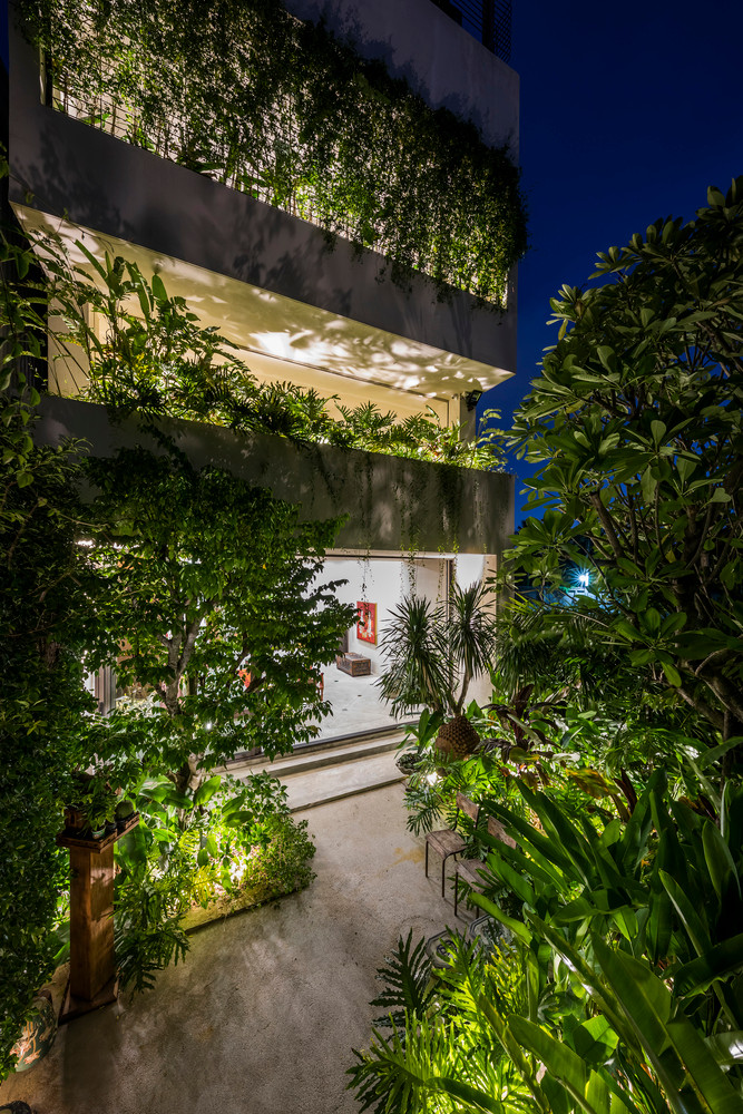 Phía sau cánh cổng là lối vào quanh co dẫn thẳng đến phòng khách. Cây cối được phủ kín hai bên khiến cho phòng khách tuy mở nhưng hoàn toàn tách biệt với bên ngoài. Nguồn ảnh: Hiroyuki Oki