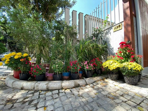 Thêm một không gian ngập tràn cây xanh và hoa trong nhà của Quý Bình.