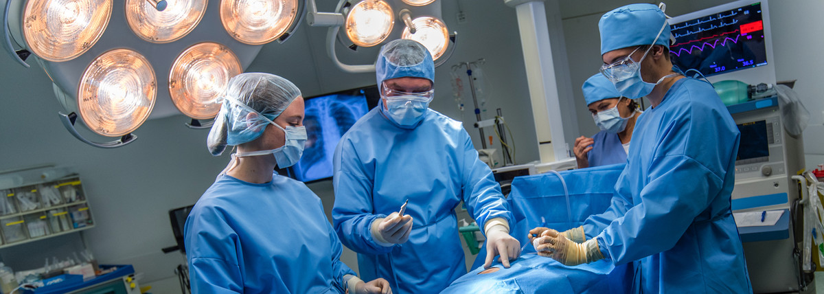 Theo Cục thống kê Lao động Mỹ (Bureau of Labor Statistics), bác sĩ phẫu thuật nằm trong nhóm công việc được trả lương cao nhất. Lương trung bình của một bác sĩ phẫu thuật tương đương hoặc cao hơn 208.000 USD/năm.