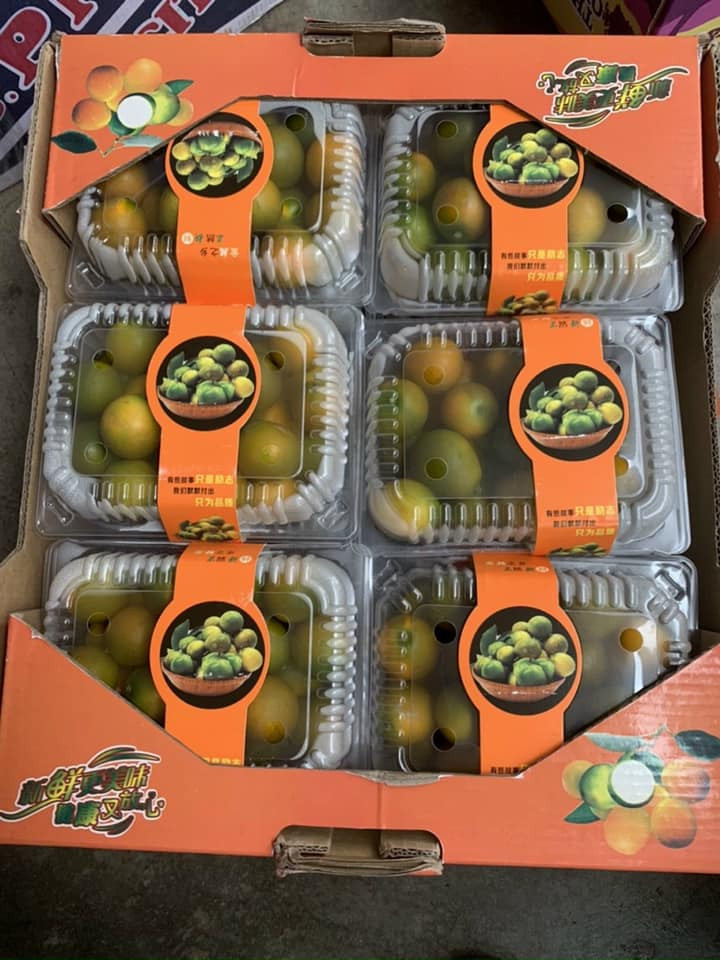 Cũng theo chị Yến, năm nay do ảnh hưởng của dịch COVID-19 nên quất Đài Loan nhập được giá rẻ, chỉ 40.000 đồng/0,5kg, bằng một nửa so với giá năm ngoái (90.000 đồng/kg).