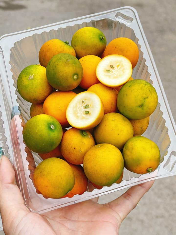 Chị Giang Thu (Cầu Giấy, Hà Nội) cho rằng quất ngọt Đài Loan thích hợp ăn trong thời tiết lành lạnh của miền Bắc nên dự định sẽ mua một ít để mời khách trong dịp Tết Nguyên đán năm nay. Nguồn ảnh: Facebook