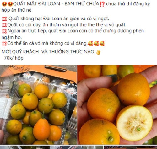 Theo khảo sát, quất Đài Loan được rao bán với giá từ 40.000 - 70.000 đồng/hộp (0,5kg).