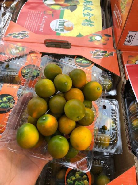 Cô Linh Giang (Long Biên, Hà Nội) từng được thưởng thức quất ngọt Đài Loan ở nhà một người năm ngoái nên năm nay đặt mua 1 hộp nửa kg về cho cả nhà ăn.