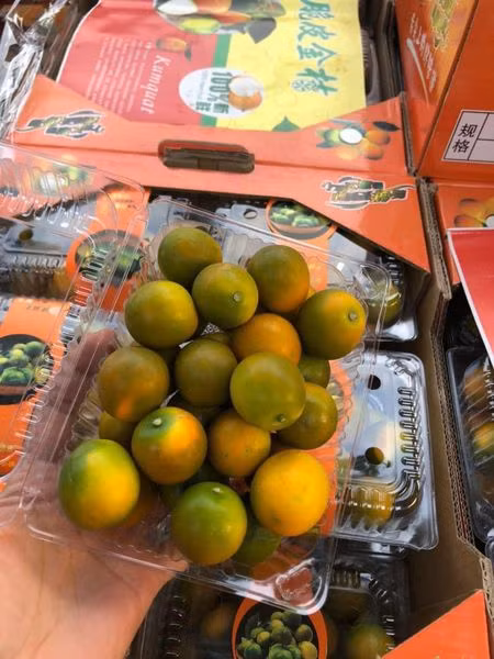 Cô Linh Giang (Long Biên, Hà Nội) từng được thưởng thức quất ngọt Đài Loan ở nhà một người năm ngoái nên năm nay đặt mua 1 hộp nửa kg về cho cả nhà ăn.