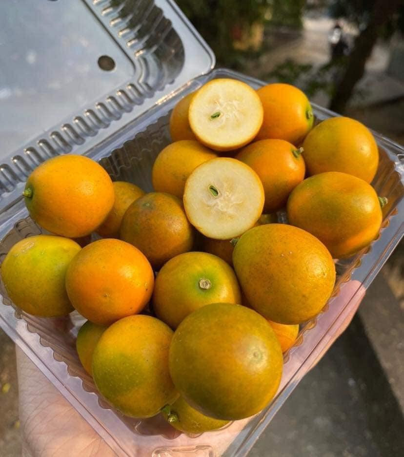 Ngoài ăn trực tiếp, quất Đài Loan còn có thể chưng đường phèn ngậm ho.