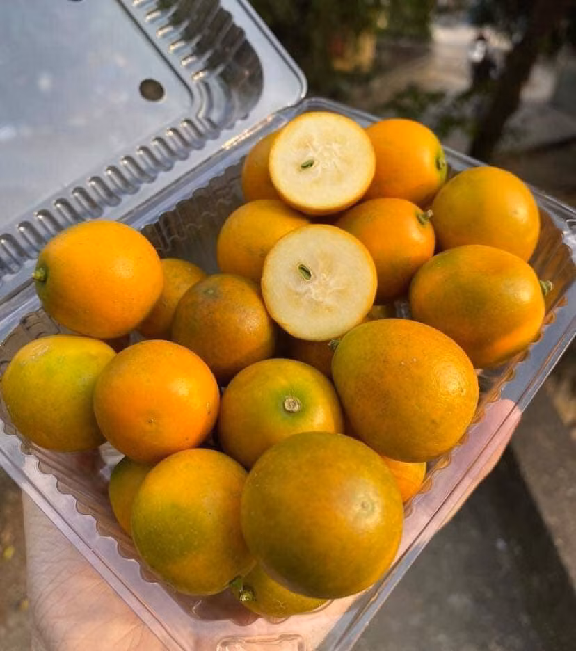 Ngoài ăn trực tiếp, quất Đài Loan còn có thể chưng đường phèn ngậm ho.