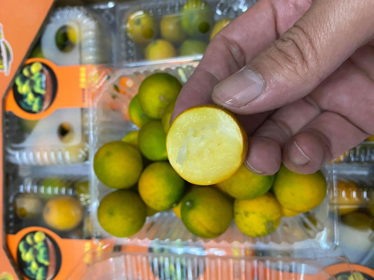 Sau khi mua về, cả nhà cô Linh đều thích ăn vì quât Đài Loan giòn, có vị ngọt. Quả nhỏ nhưng có cùi dày, ăn thơm và có vị ngọt the đặc trưng.