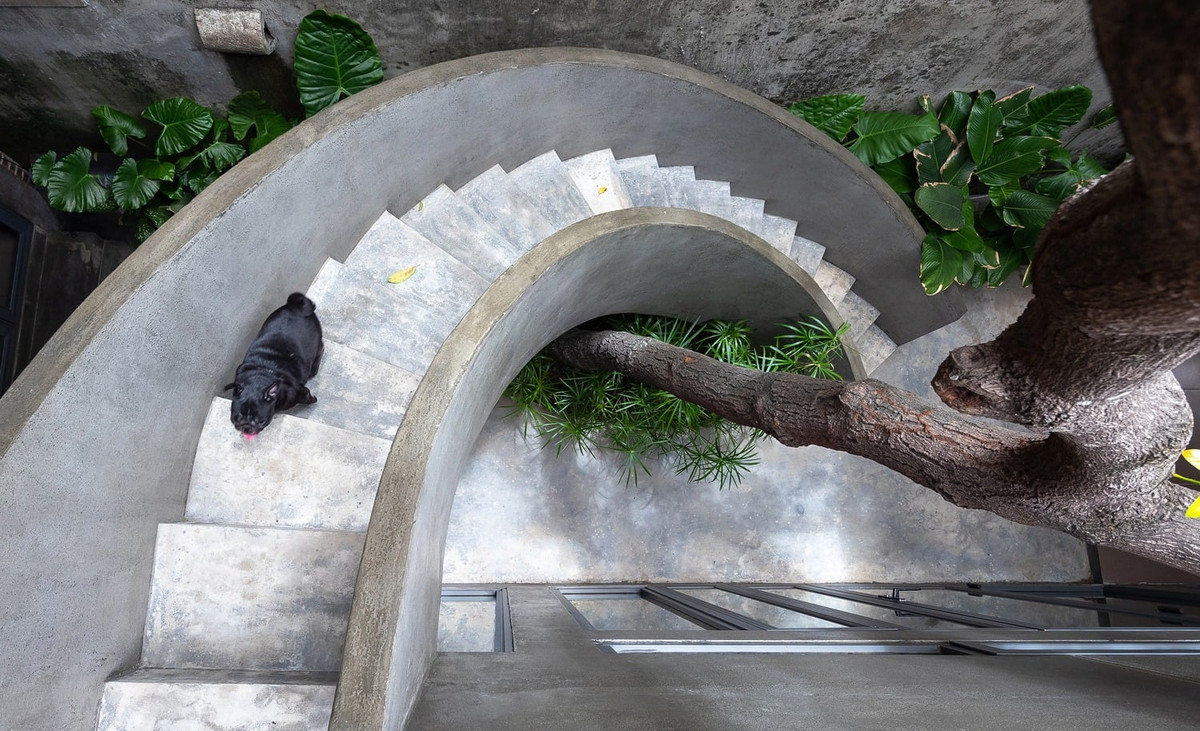 Bước đi dưới tán lá, cảm nhận từng nhịp cầu thang chuyển mình sẽ là một trải nghiệm không gian thú vị.