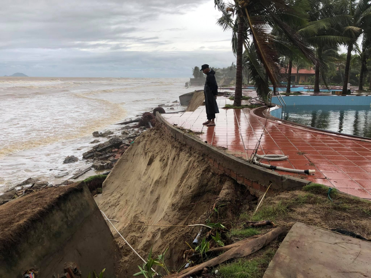 Tại Tropical Hoi An Beach resort ở phường Cẩm An, nước biển ngoạm sâu vào bờ hơn chục mét, hàng chục cây dừa ngã đổ xuống biển. Ảnh: VOV.