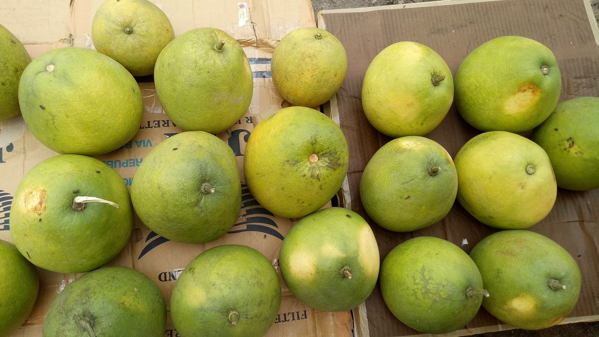 Chia sẻ trên báo Dân Việt, chị Lý (Đoan Hùng, Phú Thọ) cho biết, năm nay do ảnh hưởng của dịch Covid-19 nên giá bưởi cũng bị giảm, có loại 40-50.000 đồng/quả, rẻ nhất là bưởi bi cũng phải 7-8.000 đồng/quả đối với vườn ngon.