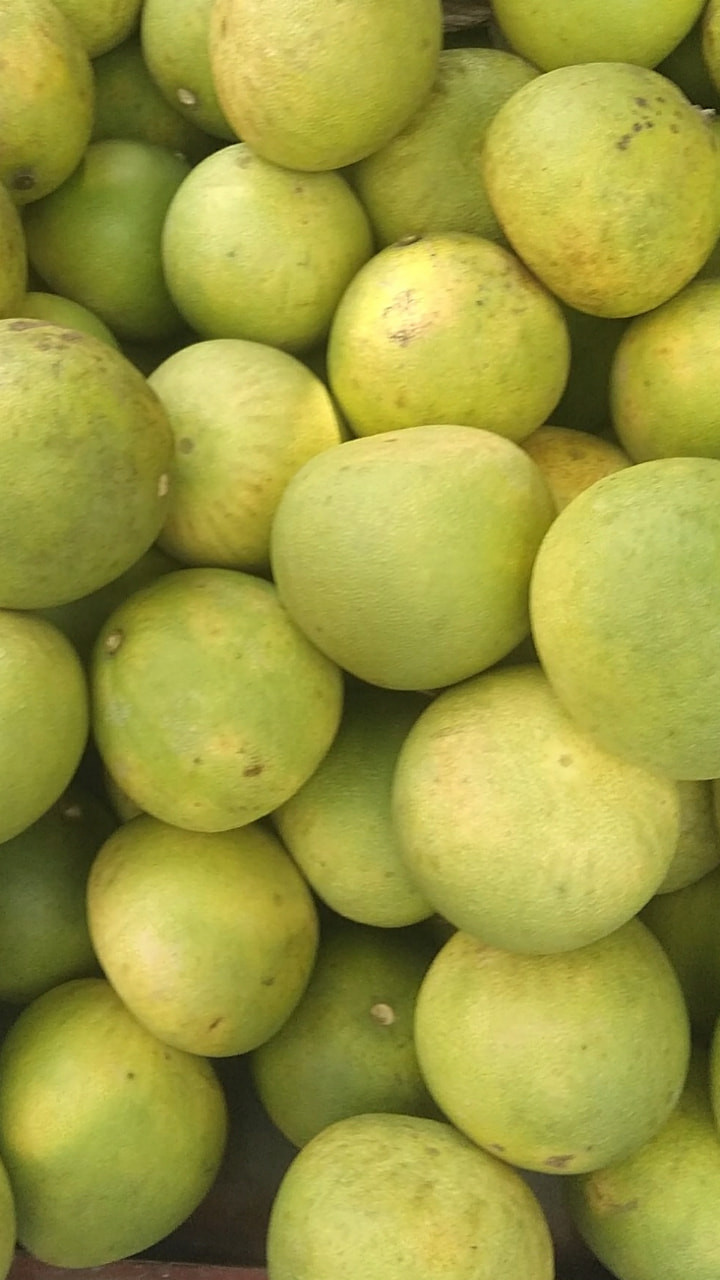 Nói về loại bưởi Đoan Hùng 2.000 đồng/quả bán đầy chợ, chị Lý cho rằng đó là loại bưởi non, ăn sẽ nhạt, he và đắng.