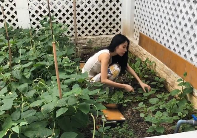 Dù rất bận rộn nhưng Thủy Tiên vẫn dành thời gian chăm sóc vườn cây.
