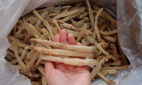 Dù giá vô cùng đắt đỏ nhưng các gia đình có điều kiện vẫn mua về sử dụng, làm gia vị dùng thay bột ngọt hay các loại bột nêm.