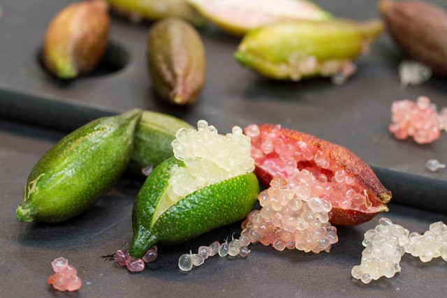 Loại chanh này có đủ màu xanh, tím, đỏ. Tép chanh tròn giống trứng cá tầm, ăn chua ngọt rất thích miệng. Nguồn ảnh: Internet