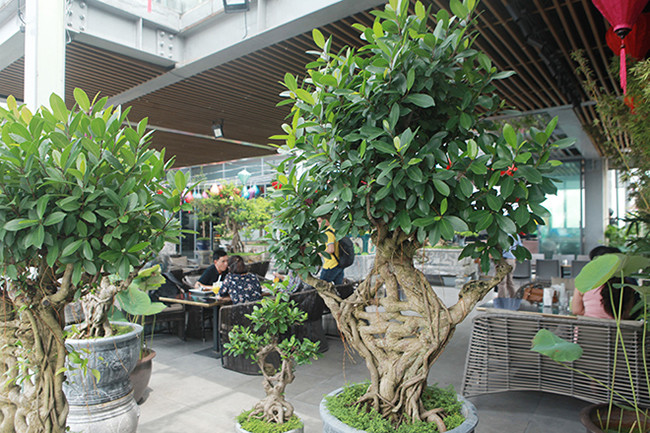 Tác phẩm khi đứng cạnh nhau tạo nên sự cân đối và rất có ý nghĩa, mang lại hạnh phúc, may mắn cho gia chủ.