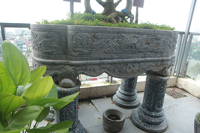 Toàn bộ 5 cây được đặt trên 5 chậu đá khắc hình rồng, phượng