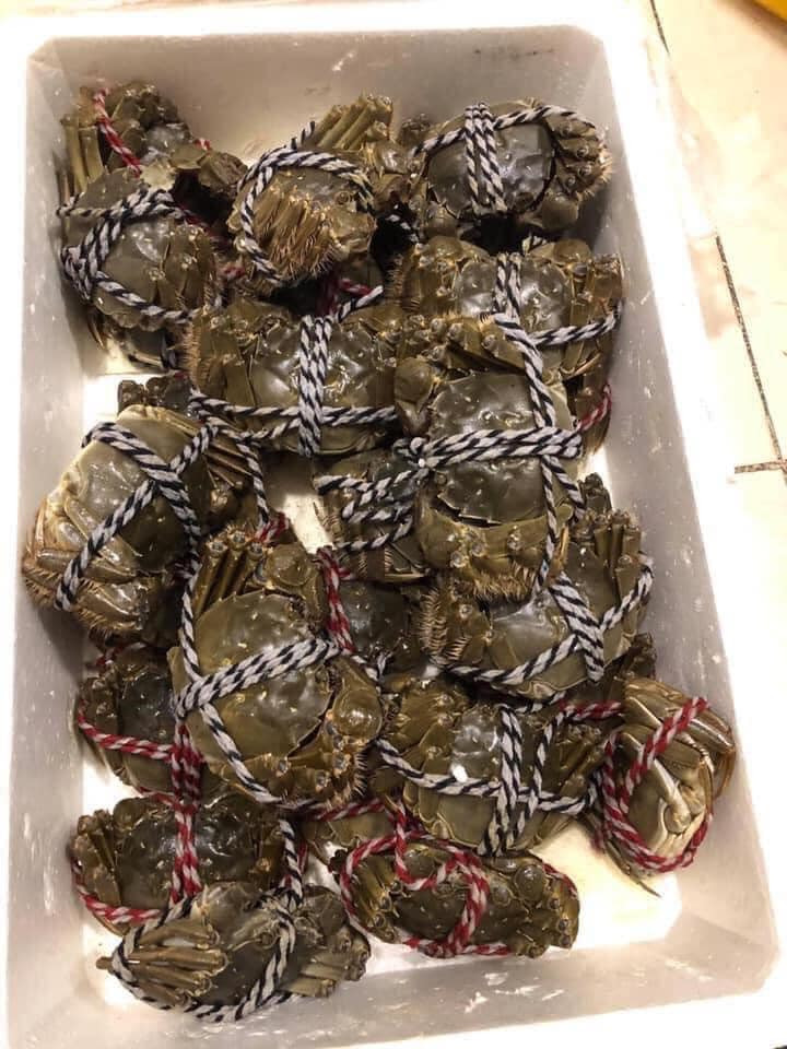 Tuy nhiên, gần đây trên chợ mạng và một số cửa hàng hải sản rao bán loại cua này với giá chỉ vài trăm nghìn đồng/kg, thậm chí chỉ 45-60.000 đồng/con.