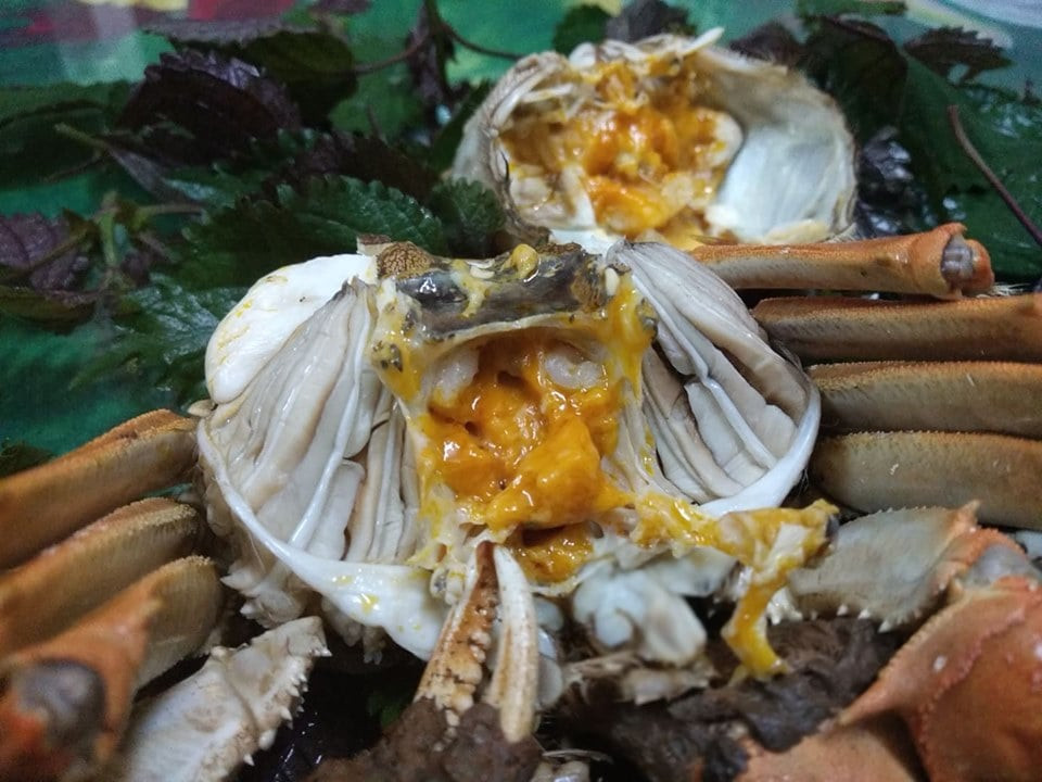 Ngoài ra, cua đực Quảng Châu không chắc thịt, gạch và trứng cũng không bùi, béo và quyện như cua Thượng Hải. Nguồn ảnh: Facebook