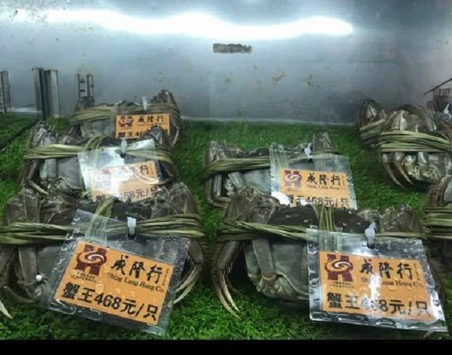 Thế nhưng, theo nhiều chủ cửa hàng nhập khẩu thì cua lông Thượng Hải nếu nhập về Việt Nam không thể có giá dưới 1 triệu đồng/kg.
