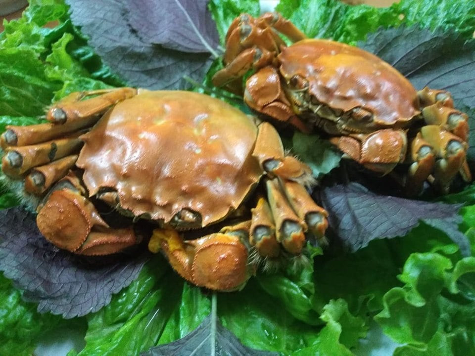 Loại cua lông bày bán ngoài chợ có giá siêu rẻ là vì đó là hàng Việt. Chúng có tên là cua cà ra, cua da, cua sông hoặc cua sông Hồng, hình dáng giống cua lông Thượng Hải.