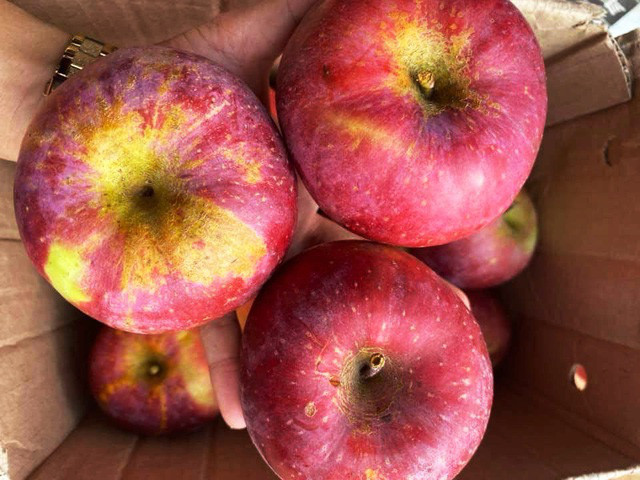 Phần lớn, khách hàng mua táo đá là người có thu nhập thấp, học sinh, sinh viên. Nguồn ảnh: Facebook.