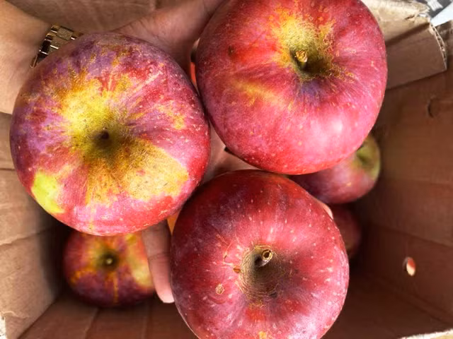 Phần lớn, khách hàng mua táo đá là người có thu nhập thấp, học sinh, sinh viên. Nguồn ảnh: Facebook.