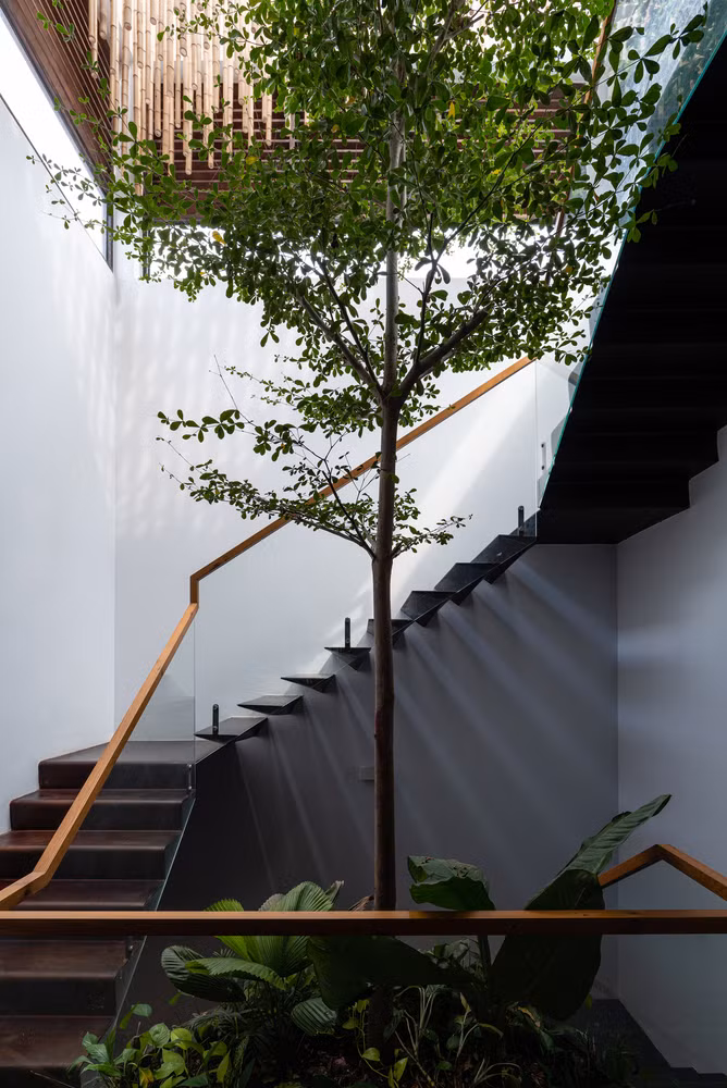 Để giải quyết các hạn chế đó, đồng thời tăng cường chiếu sáng và thông gió tự nhiên, nhóm kiến trúc sư quyết định bỏ qua tường ngăn trong nhà, sử dụng "cây xanh" và "khoảng trống" để phân tách các không gian chức năng.