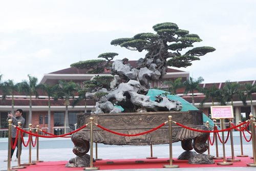 Tác phẩm sanh cổ "Phù Đổng Thiên Vương" của ông Nguyễn Trọng Trường (Trường "giấy"), được giới chơi cây cảnh coi là một trong những huyền thoại độc đáo trong làng cây Việt Nam. Ảnh: ĐSPL.