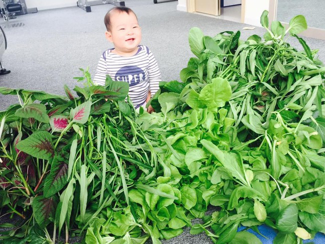 Minh Hà cho biết khu vườn tươi tốt đến mức rau muống bị già vì gia đình ăn không kịp.