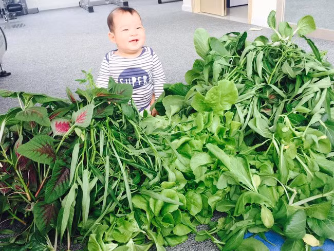 Minh Hà cho biết khu vườn tươi tốt đến mức rau muống bị già vì gia đình ăn không kịp.