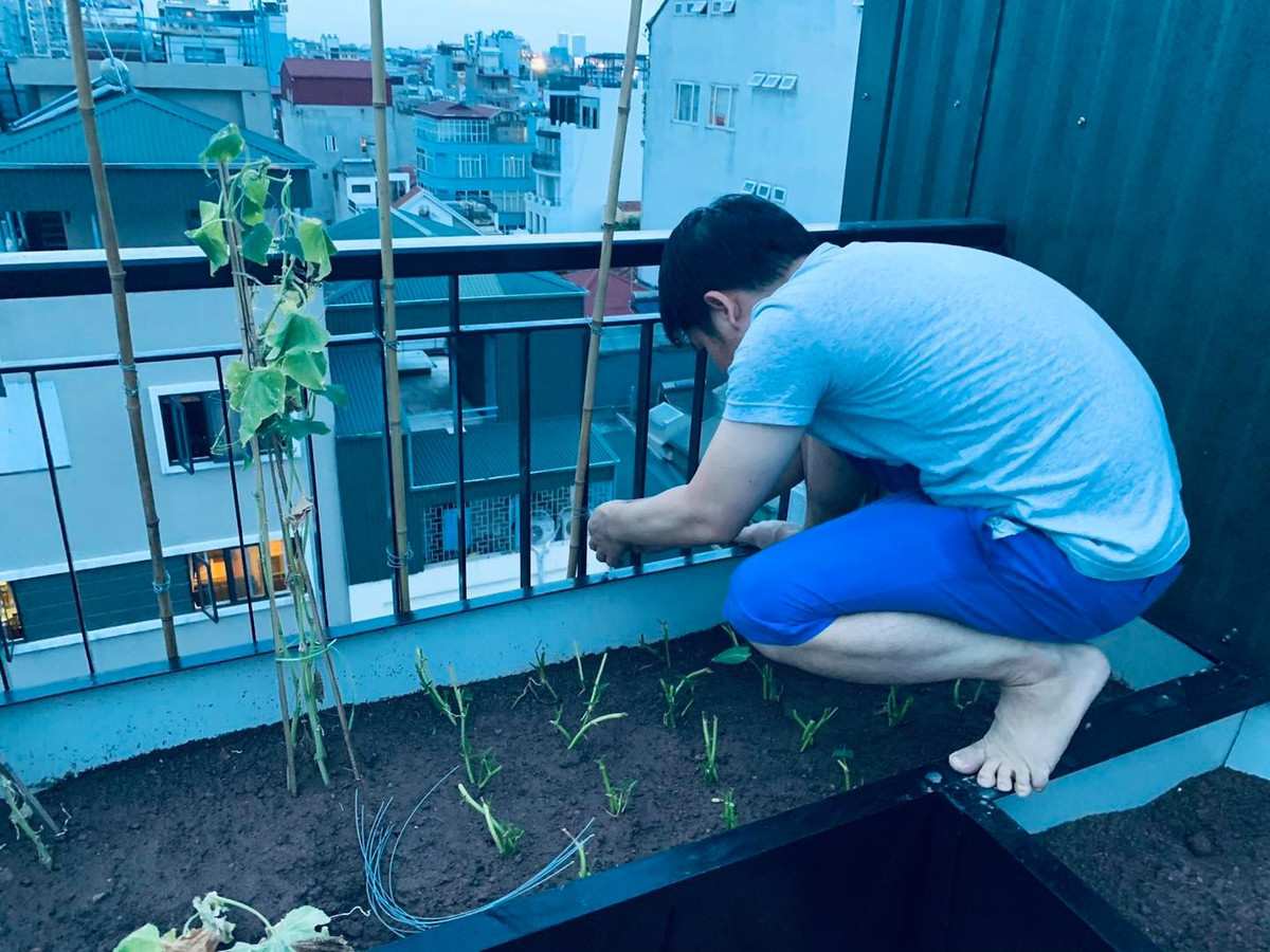 Những lúc rảnh rỗi, nam ca sĩ tự tay chăm bón, tỉa lá và bắt sâu cho từng gốc cây trong khu vườn trên sân thượng.