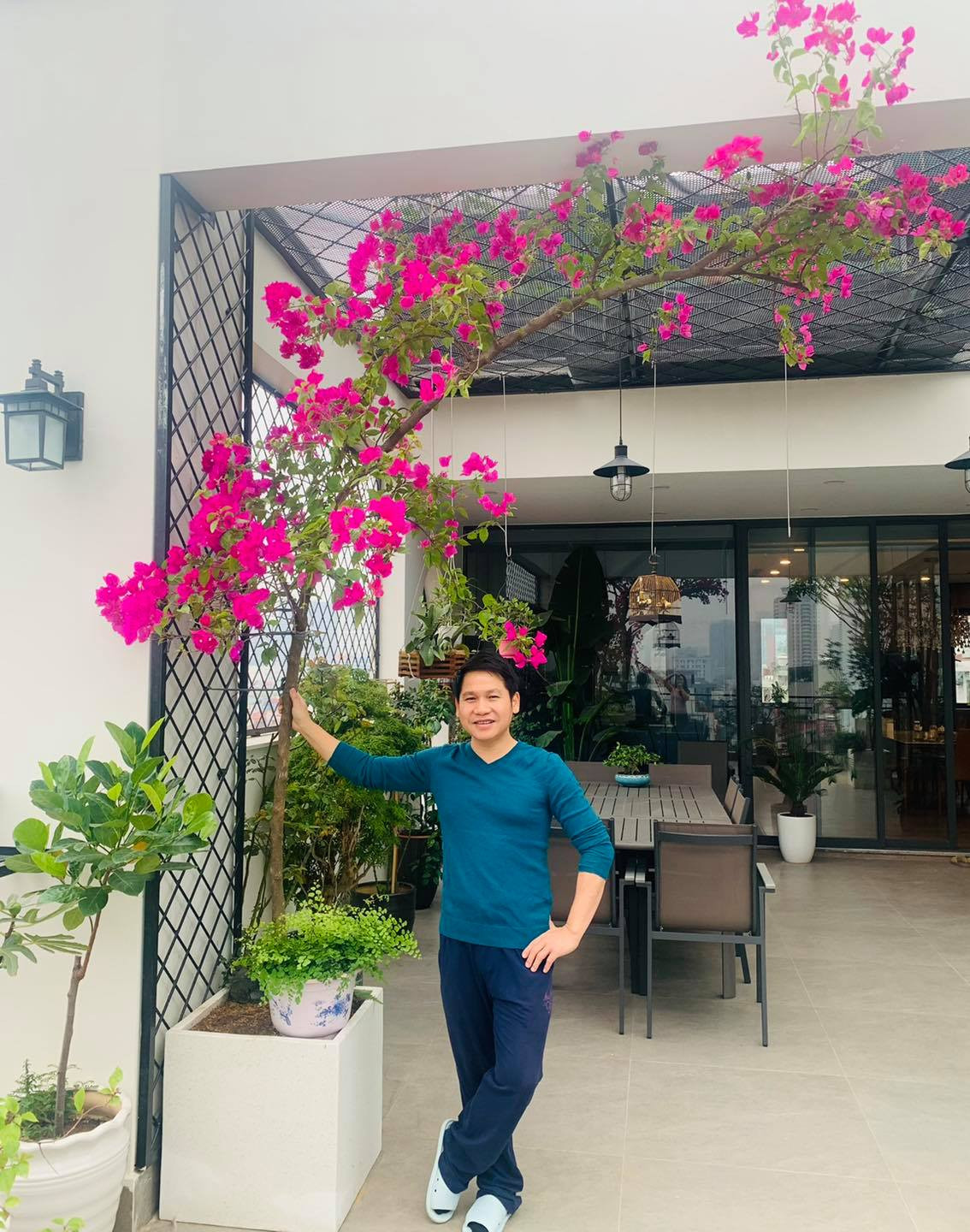 Cây hoa giấy nở hoa đỏ thắm. Nguồn ảnh: FBNV.