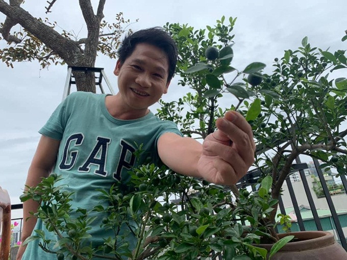 Ngoài rau xanh, ca sĩ Trọng Tấn còn trồng cây ăn trái như quất, ớt...